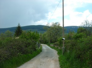 Camino rural en San Mamés (Madrid)