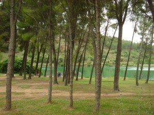 Lagunas de Ruidera Junio 2013 (10)