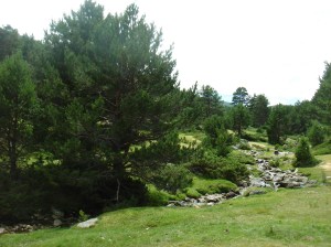 Curso del río Lozoya (Madrid)