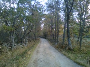 Camino de San Mamés, en la Sierra de Madrid