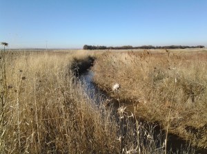 Río Azuer a su paso por Membrilla (Ciudad Real)