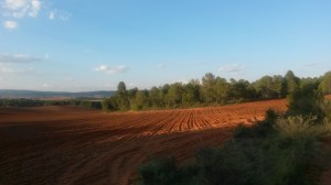 Campos en Jábega (Cuenca)