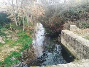 Cauce del río Ciguela, en Saelices, Cuenca
